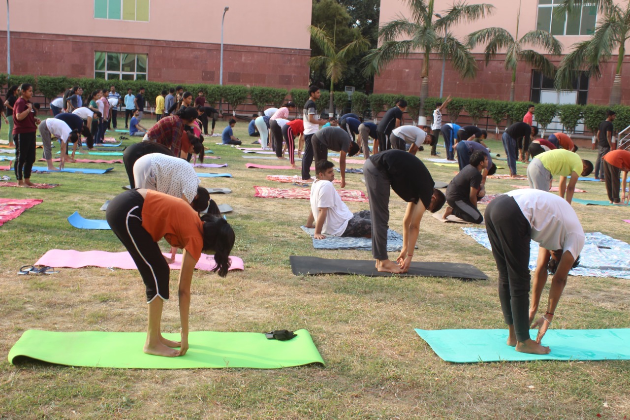 yoga day